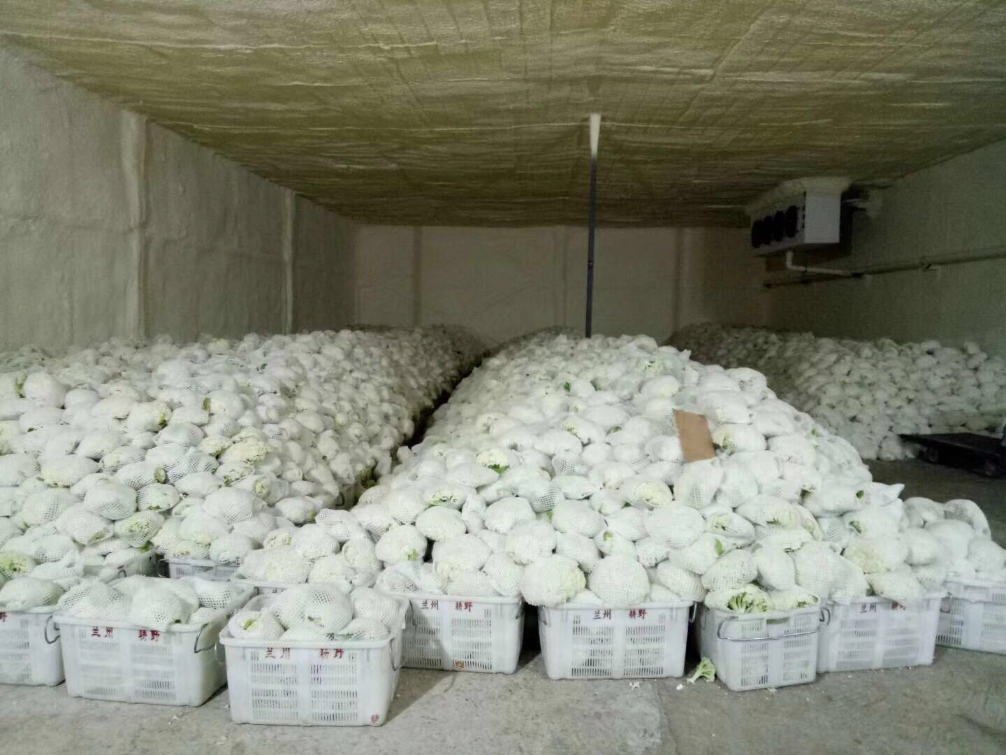 西安冷庫(kù)安裝 西安冷庫(kù)安裝